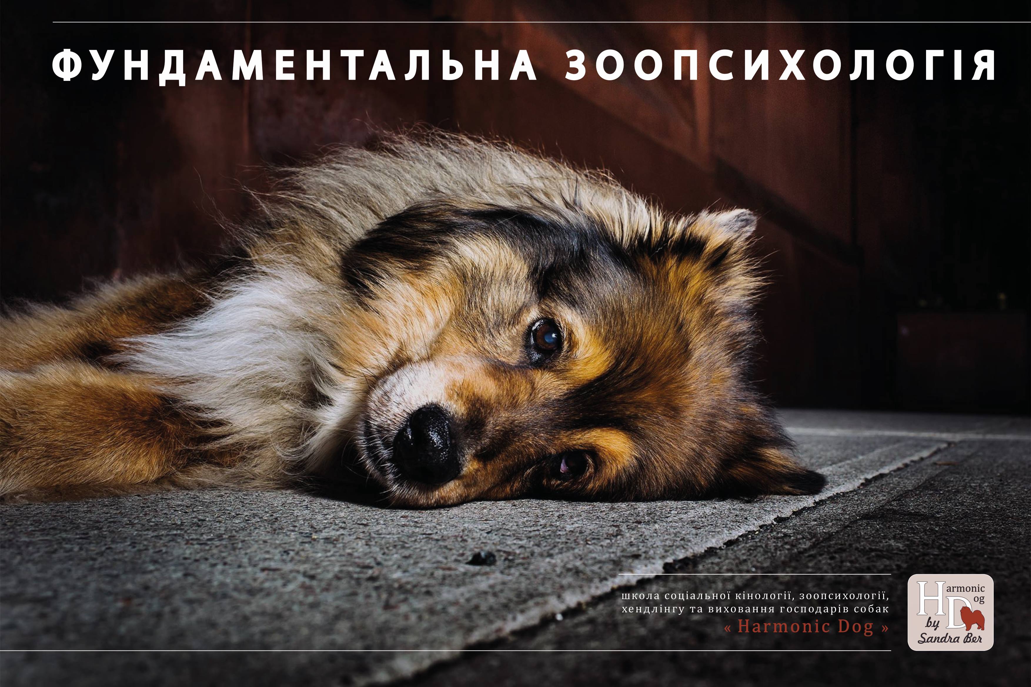 СЕМІНАР<br/> "СВІТ ОЧИМА СОБАКИ.<br/> ПСИХОФІЗІОЛОГІЯ ФОРМУВАННЯ ПОВЕДІНКИ"